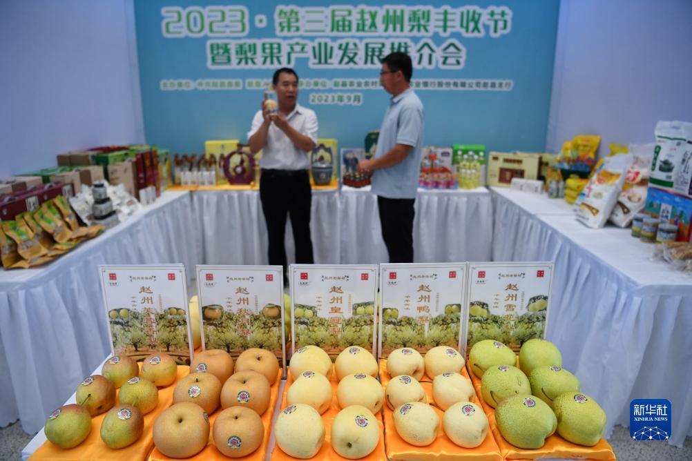bob足球真假